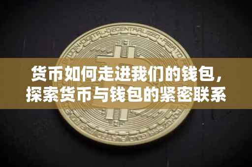 货币如何走进我们的钱包，探索货币与钱包的紧密联系
