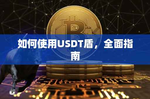 如何使用USDT盾，全面指南