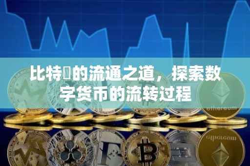 比特帀的流通之道，探索数字货币的流转过程