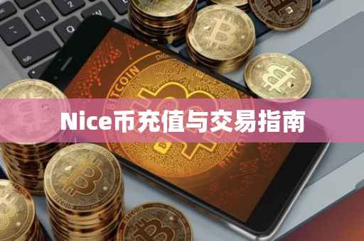 Nice币充值与交易指南