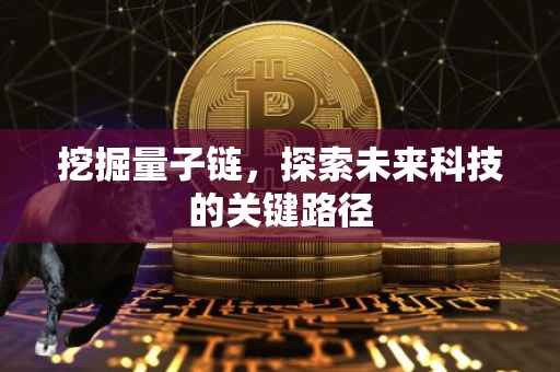 挖掘量子链，探索未来科技的关键路径