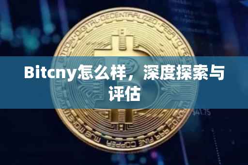 Bitcny怎么样，深度探索与评估