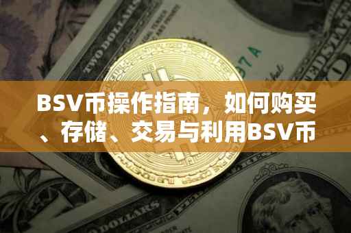 BSV币操作指南，如何购买、存储、交易与利用BSV币