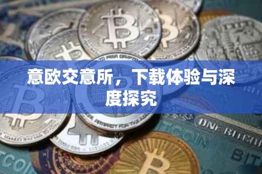 意欧交意所，下载体验与深度探究