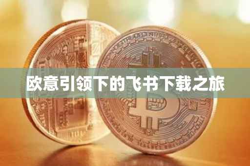 欧意引领下的飞书下载之旅