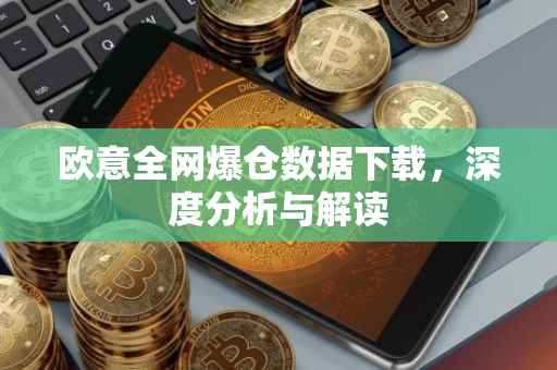 欧意全网爆仓数据下载，深度分析与解读