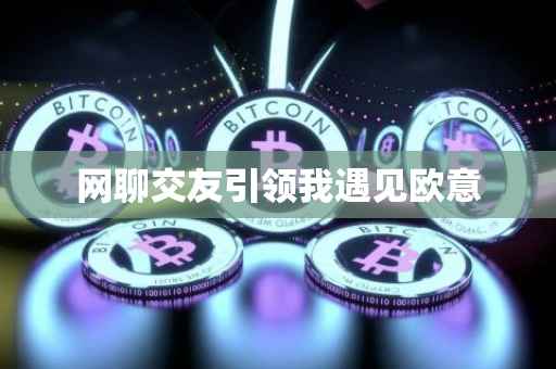 网聊交友引领我遇见欧意