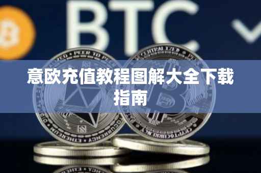 意欧充值教程图解大全下载指南
