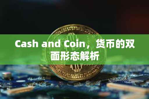 Cash and Coin，货币的双面形态解析