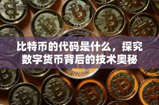 比特币的代码是什么，探究数字货币背后的技术奥秘