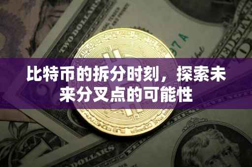 比特币的拆分时刻，探索未来分叉点的可能性