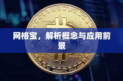 网格宝，解析概念与应用前景