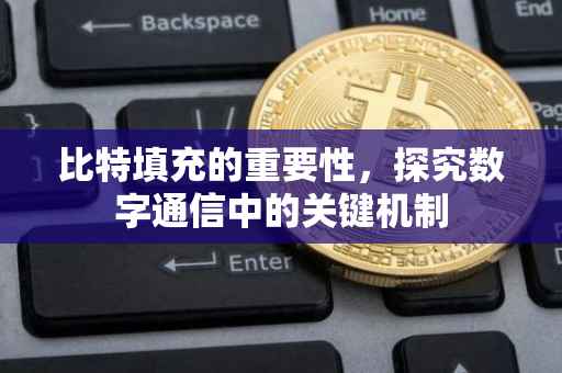 比特填充的重要性，探究数字通信中的关键机制