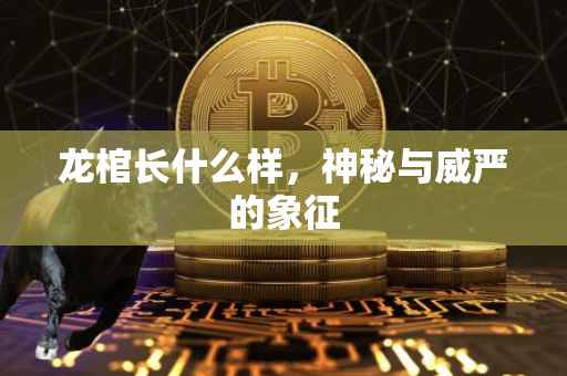 龙棺长什么样，神秘与威严的象征