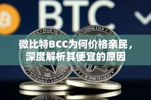 微比特BCC为何价格亲民，深度解析其便宜的原因