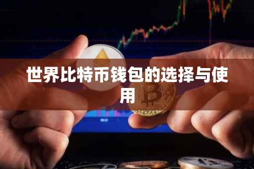 世界比特币钱包的选择与使用