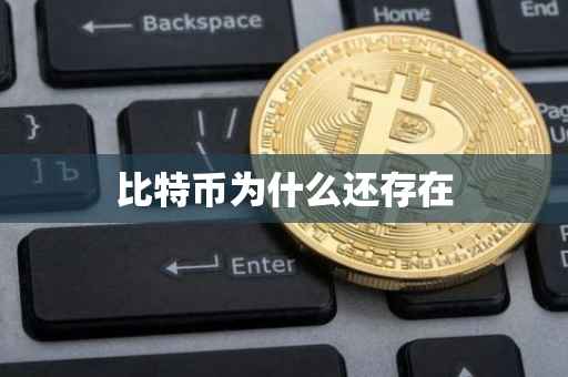 比特币为什么还存在