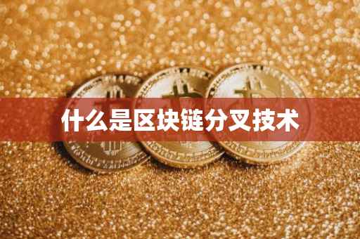 什么是区块链分叉技术