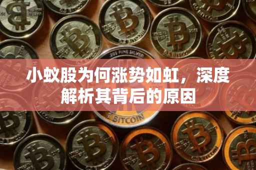 小蚁股为何涨势如虹，深度解析其背后的原因