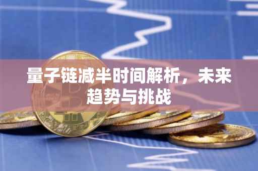 量子链减半时间解析，未来趋势与挑战