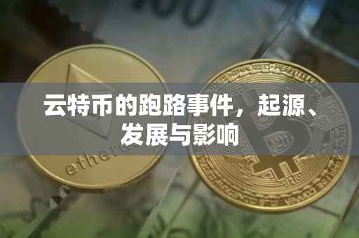 云特币的跑路事件，起源、发展与影响