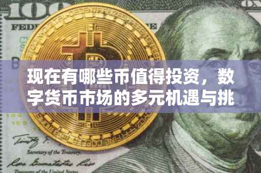 现在有哪些币值得投资，数字货币市场的多元机遇与挑战