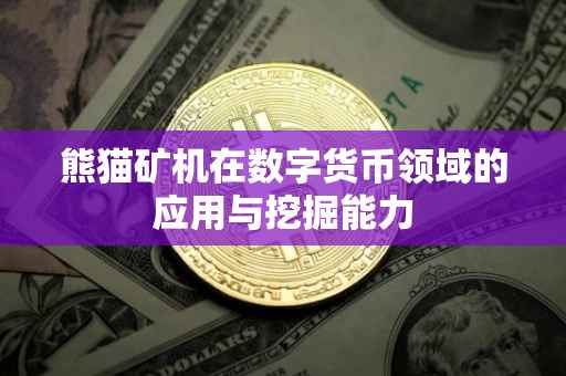 熊猫矿机在数字货币领域的应用与挖掘能力