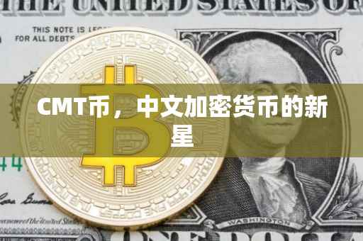 CMT币，中文加密货币的新星