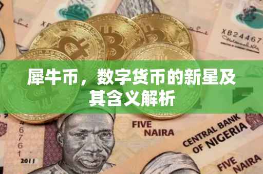 犀牛币，数字货币的新星及其含义解析
