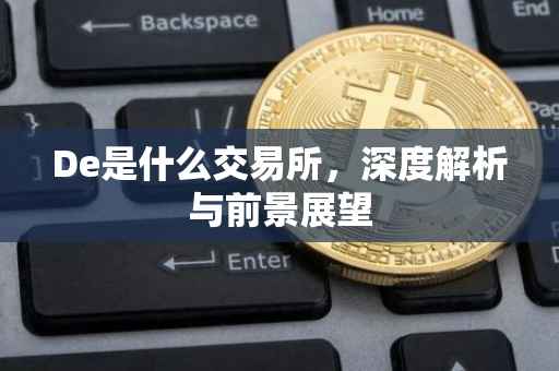 De是什么交易所，深度解析与前景展望
