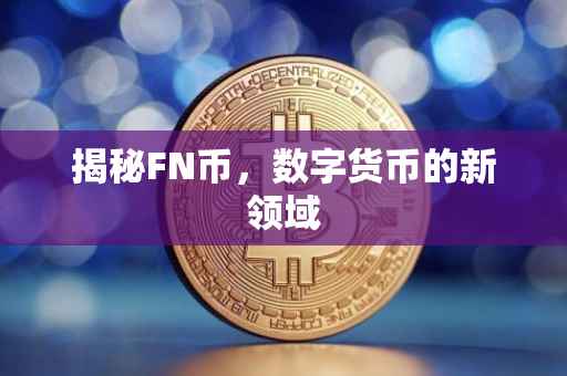 揭秘FN币，数字货币的新领域