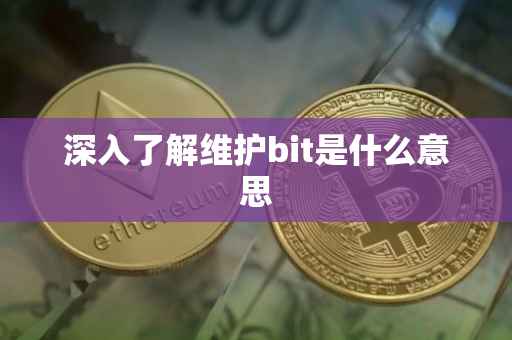 深入了解维护bit是什么意思