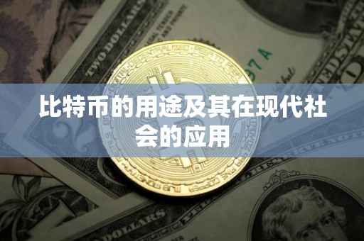 比特币的用途及其在现代社会的应用