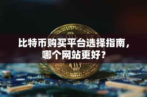 比特币购买平台选择指南，哪个网站更好？