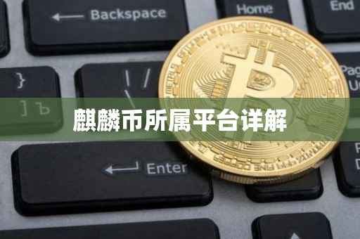 麒麟币所属平台详解