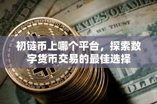 初链币上哪个平台，探索数字货币交易的最佳选择