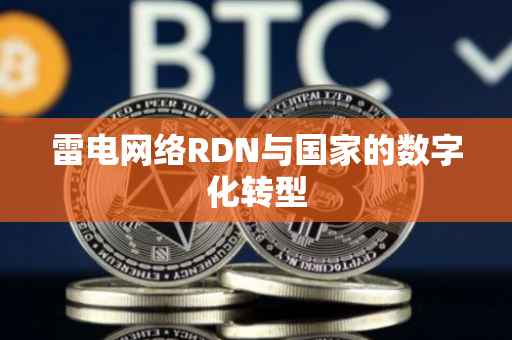 雷电网络RDN与国家的数字化转型