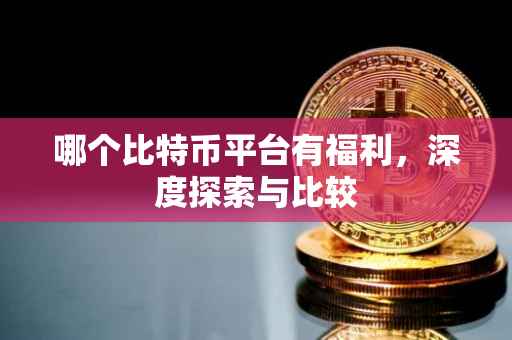 哪个比特币平台有福利，深度探索与比较
