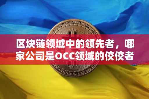 区块链领域中的领先者，哪家公司是OCC领域的佼佼者？