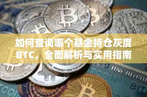 如何查询哪个基金持仓灰度BTC，全面解析与实用指南