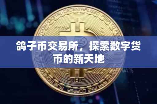 鸽子币交易所，探索数字货币的新天地