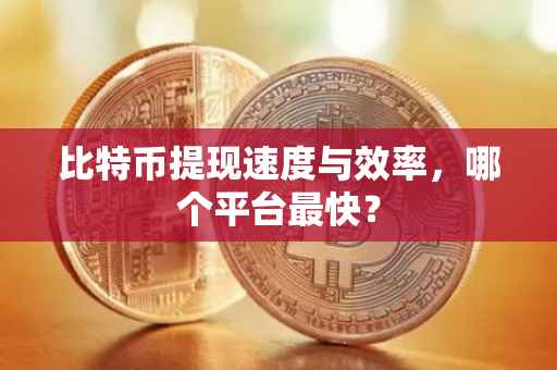 比特币提现速度与效率，哪个平台最快？