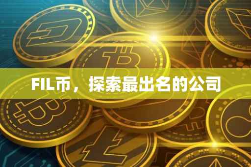 FIL币，探索最出名的公司