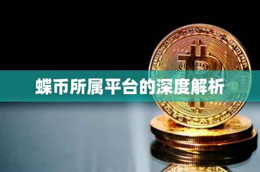 蝶币所属平台的深度解析
