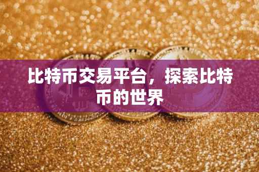 比特币交易平台，探索比特币的世界