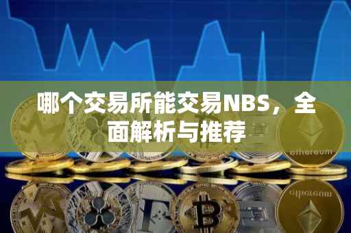 哪个交易所能交易NBS，全面解析与推荐