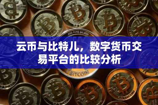 云币与比特儿，数字货币交易平台的比较分析