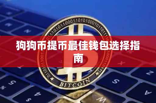 狗狗币提币最佳钱包选择指南