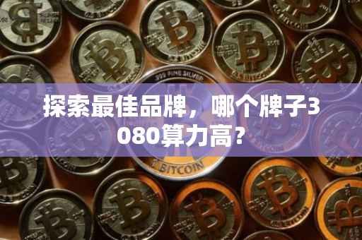 探索最佳品牌，哪个牌子3080算力高？