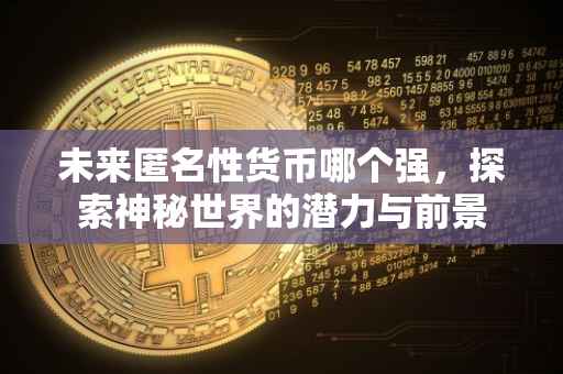 未来匿名性货币哪个强，探索神秘世界的潜力与前景
